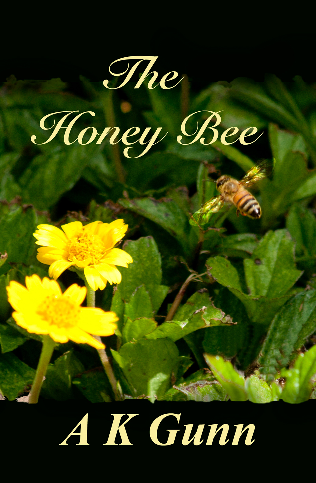 Honey Bee Cover